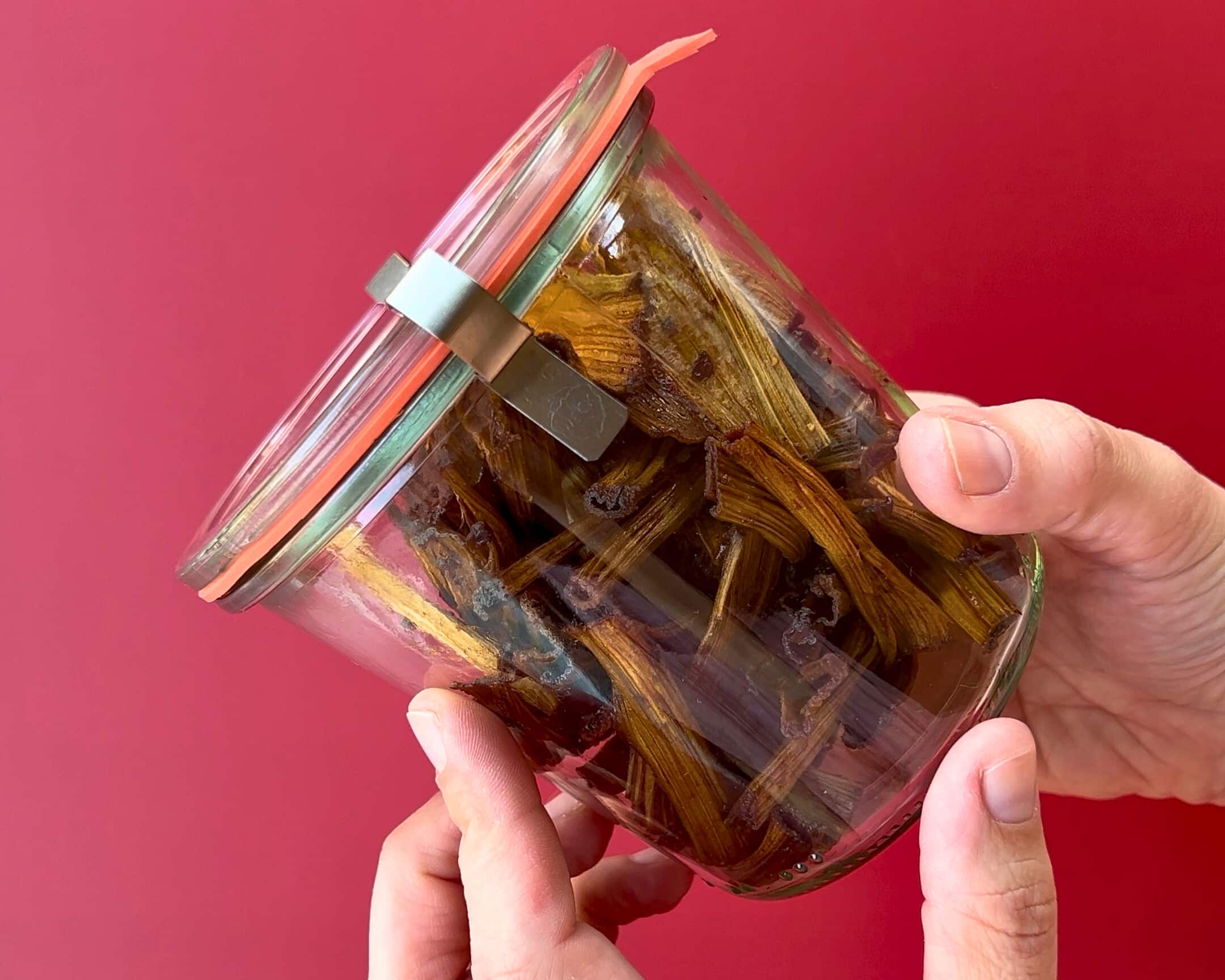 Selbstgemachtes Rhabarber-Jerky in einem Glas aufbewahrt