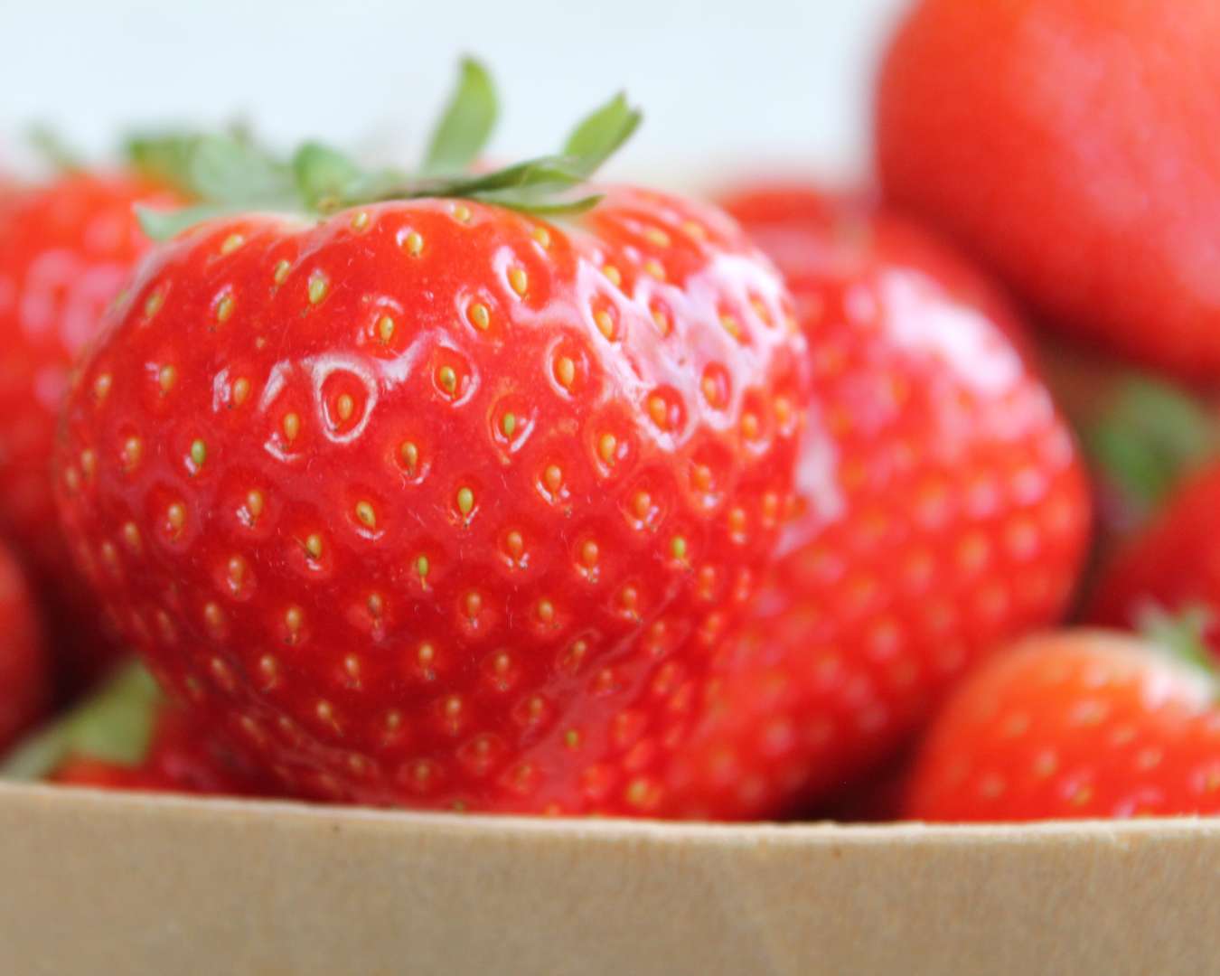 Frische Erdbeeren in einer Schale als Zutat für selbst gemachtes Fruchtleder