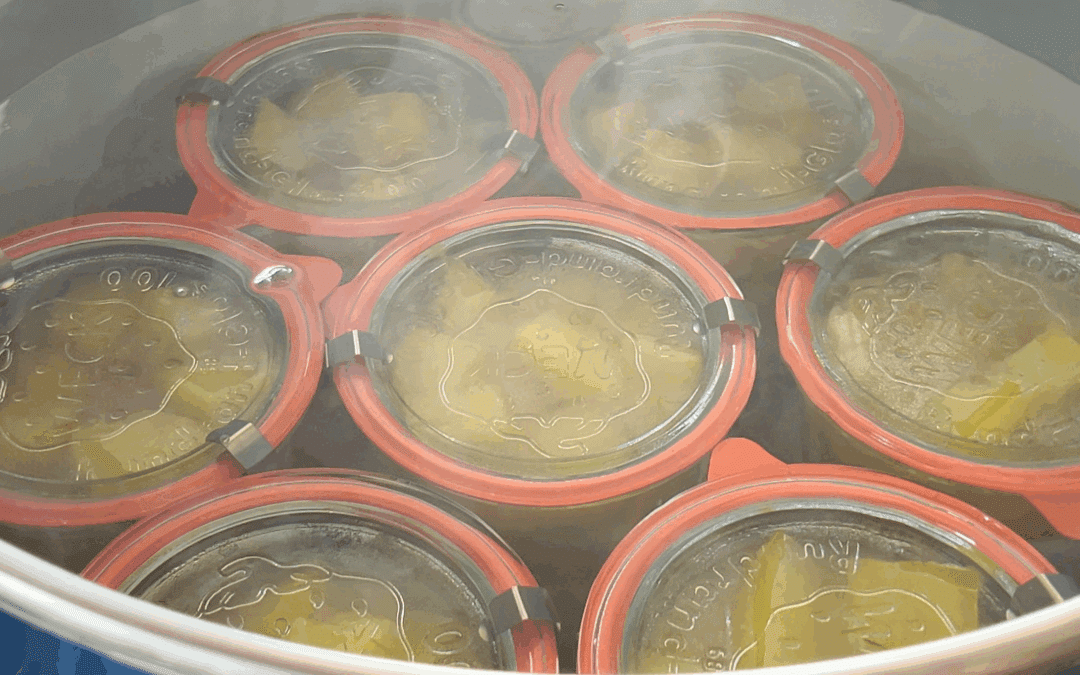 Weckgläser mit rotem Gummiring werden im großen Topf im Wasserbad eingekocht