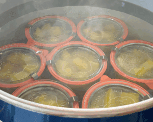 Weckgläser mit rotem Gummiring werden im großen Topf im Wasserbad eingekocht