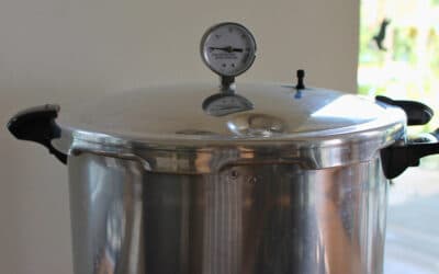 Pressure Canner kaufen in Deutschland: Vorteile, Modelle & sichere Einkochmethoden