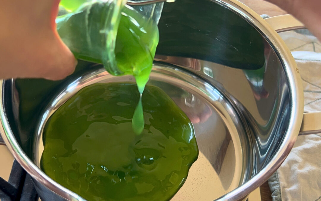 Flüssiges, grünes Gelee wird aus einem Glas in einen Edelstahltopf umgefüllt, um es neu aufzukochen und die Gelierung zu verbessern.