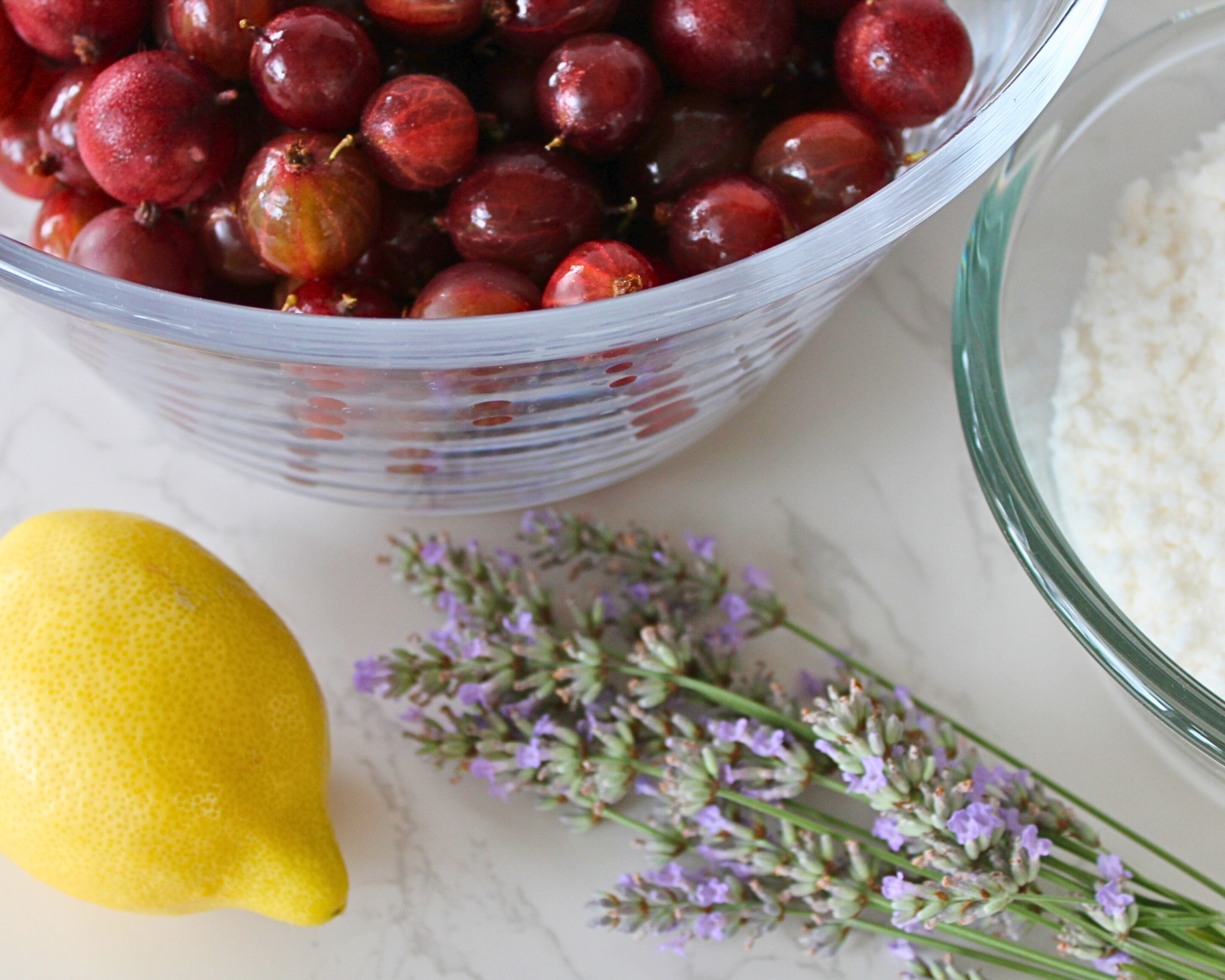 Zutaten für Stachelbeermarmelade mit Lavendel: Rote Stachelbeeren, Zitrone, Zucker und frischer Lavendel