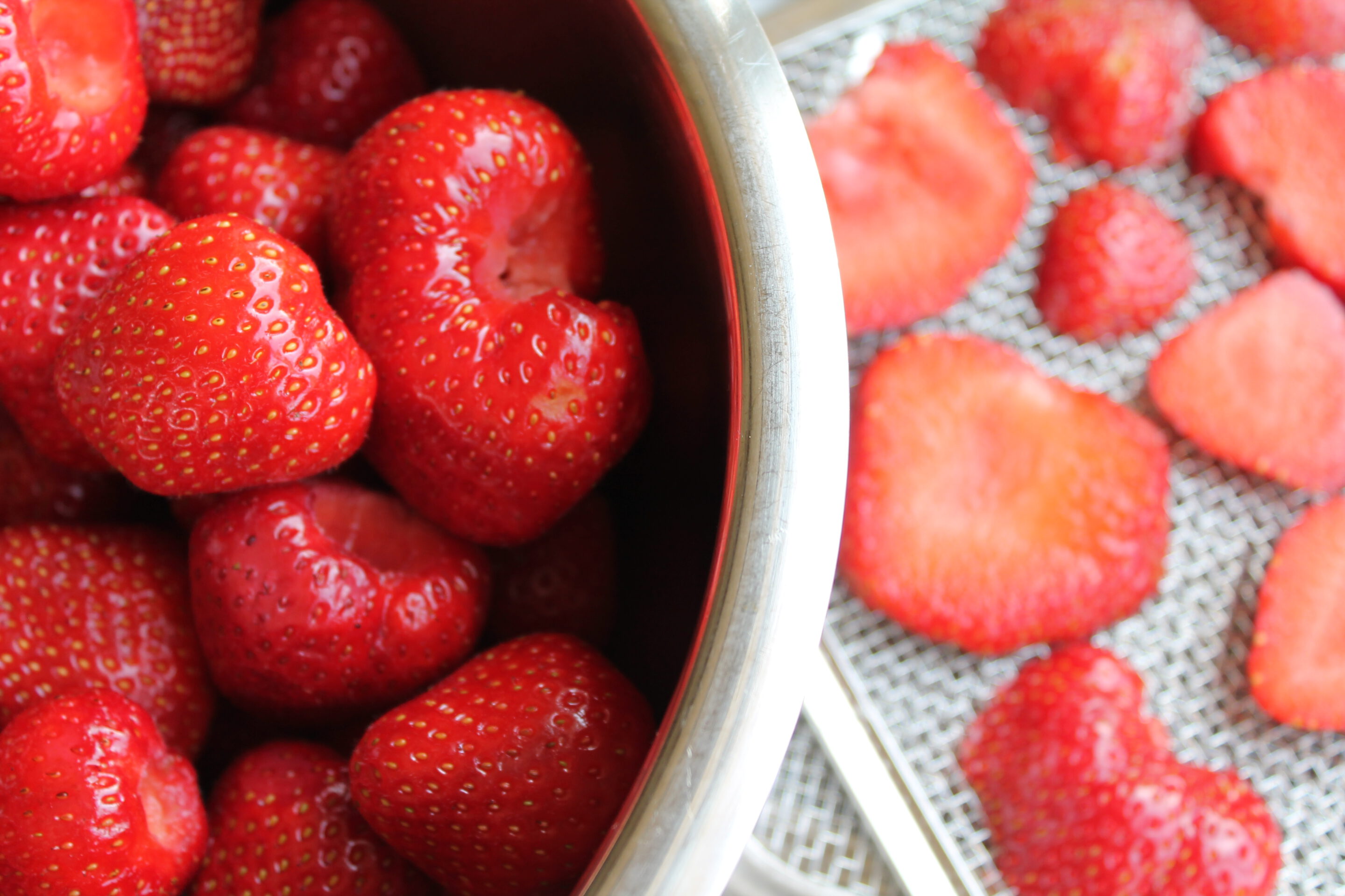 Frische Erdbeeren im Topf, daneben vorbereitete Scheiben im Dörrautomat – ideal zum Trocknen