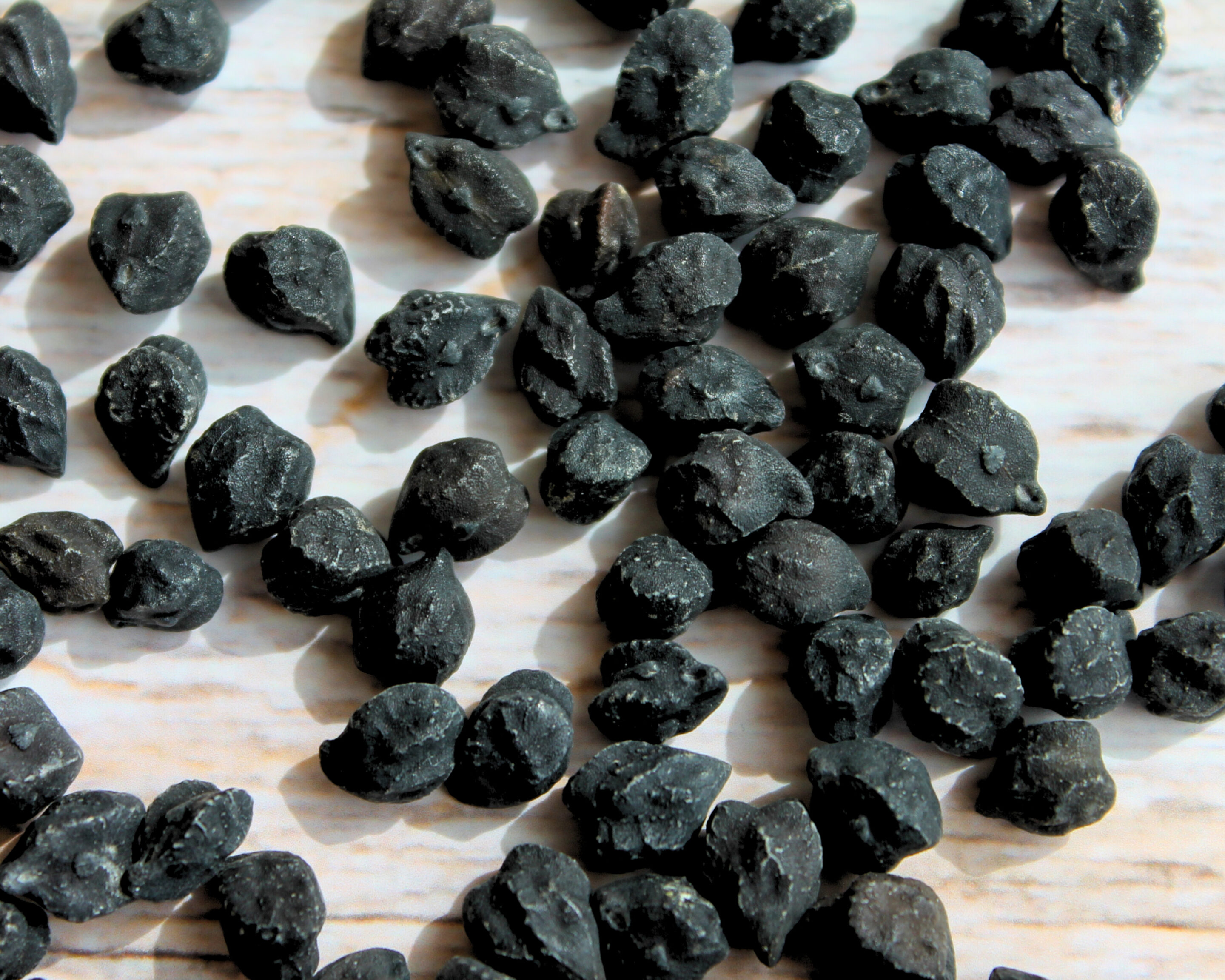 schwarze-kichererbsen-roh-nahaufnahme.jpg Schwarze Kichererbsen in roher Form – proteinreiche Hülsenfrucht für dunklen Hummus