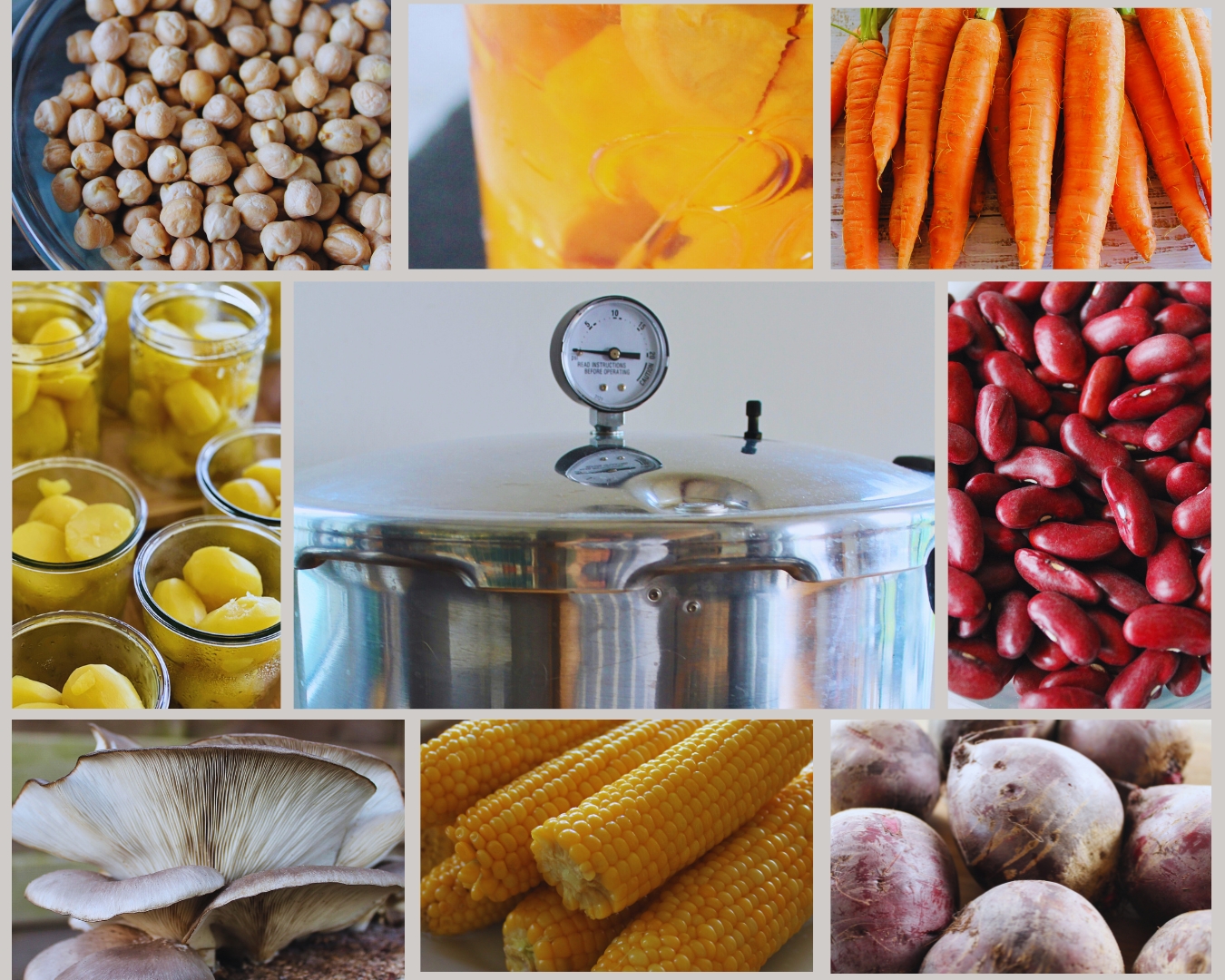 pressure-canner-saeurearme-lebensmittel-einkochen.jpg Collage mit Pressure Canner und säurearmen Lebensmitteln wie Kartoffeln, Karotten, Rote Bete, Mais, Kidneybohnen, Kichererbsen und Austernpilzen – ideal zum Einkochen im Druck-Einkochtopf.