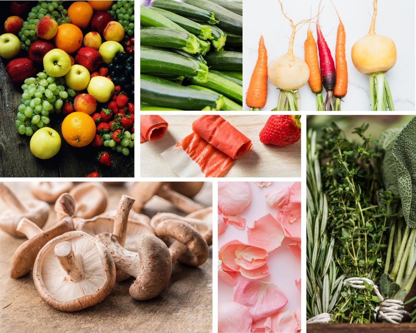 lebensmittel-zum-trocknen-collage.jpg Collage mit frischem Obst, Gemüse, Kräutern, Fruchtleder, Pilzen und Blüten – zeigt die große Auswahl an Lebensmitteln, die sich durch Trocknen haltbar machen lassen.