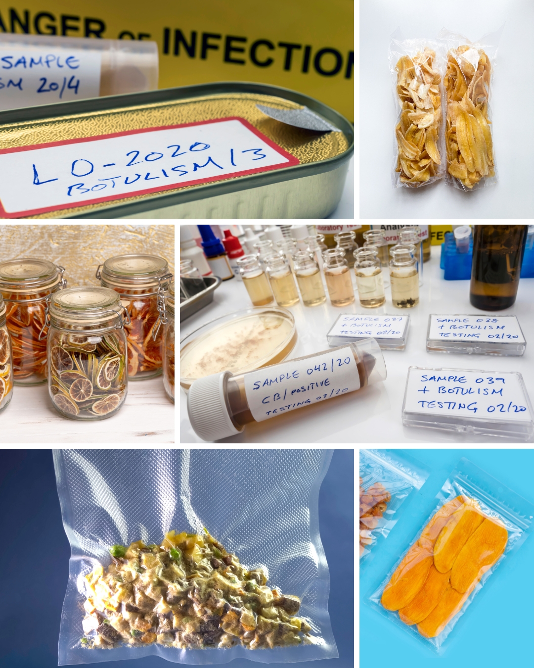 lebensmittel-vakuumieren-botulismus-risiko.jpg Collage mit Laborproben, vakuumierten Lebensmitteln, Glasbehältern und getrockneten Früchten – zeigt Risiken von unsachgemäßer Lagerung und Botulismus bei Trockenprodukten.