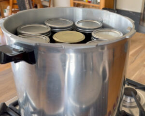 Einmachgläser im Pressure Canner vor dem Einkochen