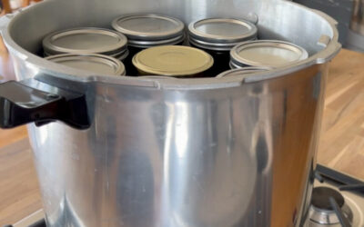 Einkochen im Pressure Canner – Die sichere Anleitung für säurearme Lebensmittel