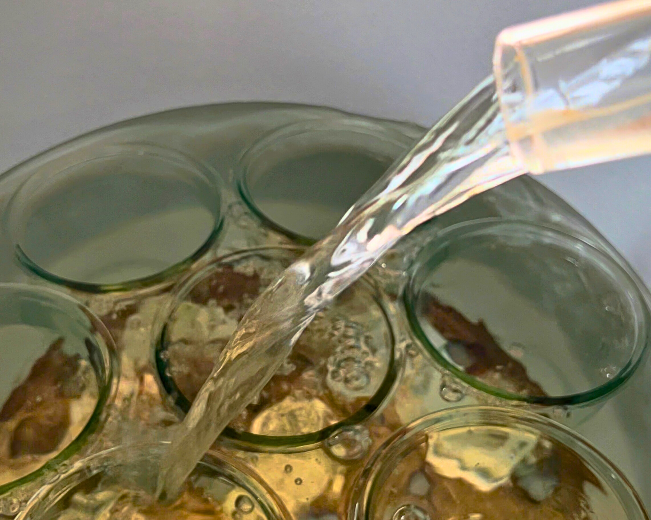 Wasser wird in einen Einkochtopf mit Gläsern und Einkochgitter eingefüllt – Schutz vor Glasbruch beim Einkochen