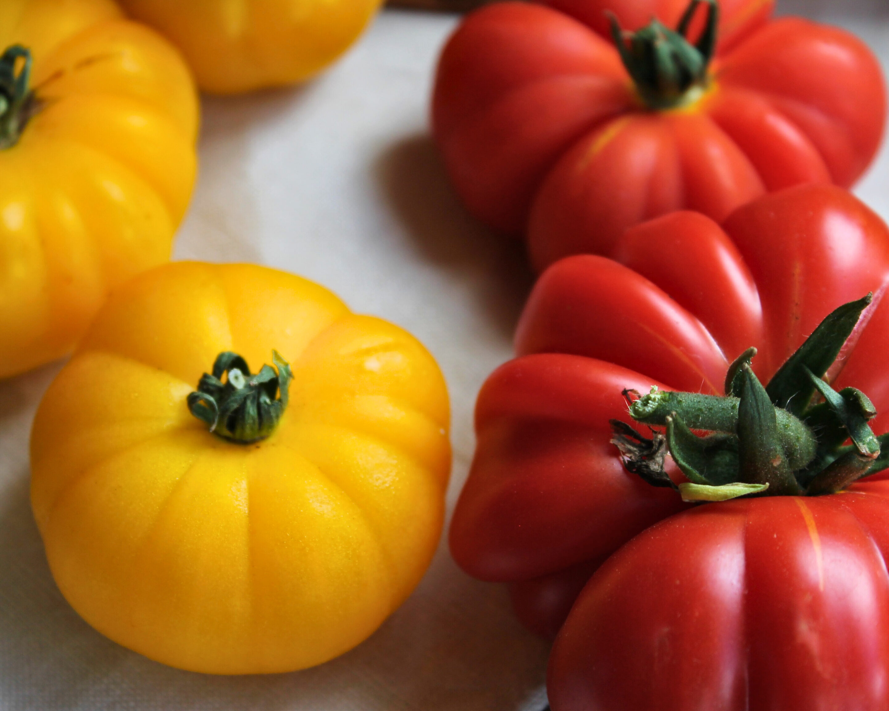 IMG_8649 - bearbeitet