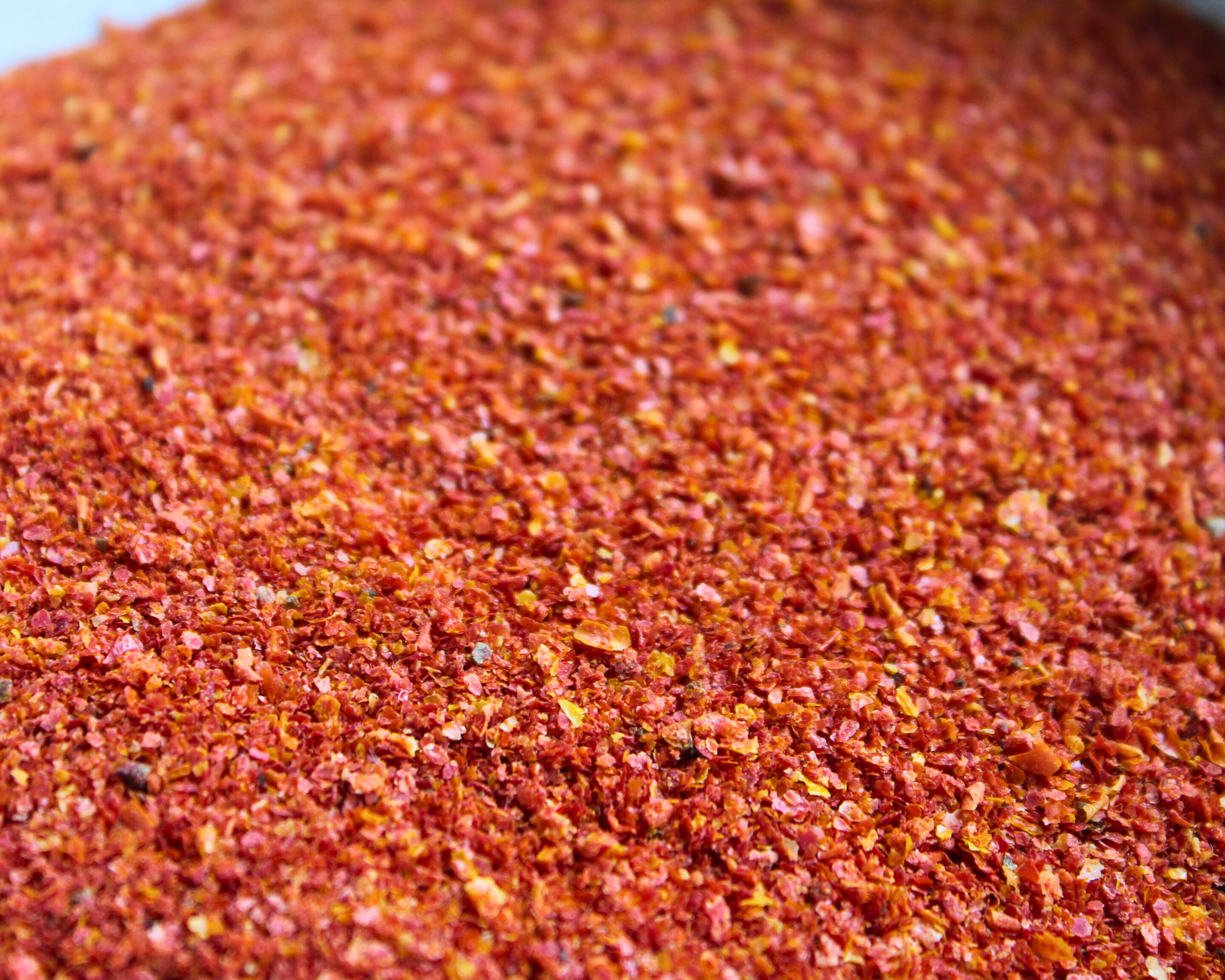 Nahaufnahme von selbstgemachtem Tomatenpulver aus getrockneter Tomatenhaut