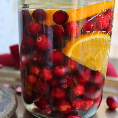 Nahaufnahme fermentierter Cranberries mit Orangenscheibe, Nelken und Zimtstange im Glas – natürlich fermentiert.