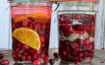 Cranberrys fermentieren – süß oder salzig einlegen