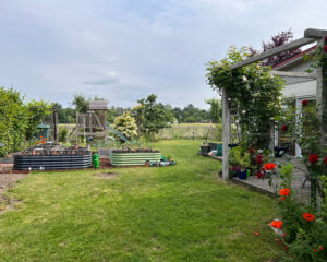 Tomatenanbau im kleinen Garten mit Hochbeeten, Kübeln und Terrasse