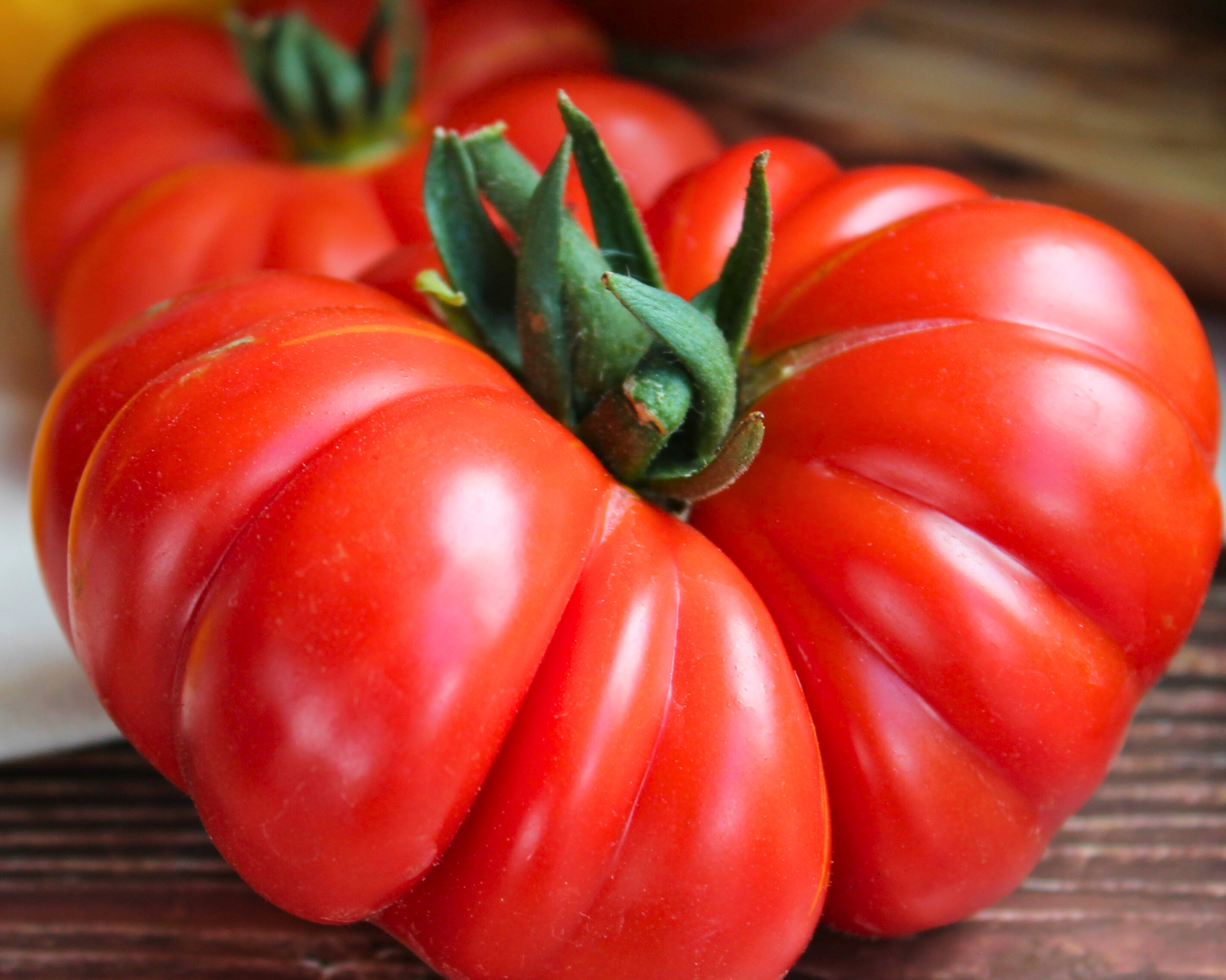 Gerippte Fleischtomate Costoluto Fiorentino mit intensivem Aroma