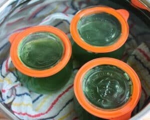 Weckgläser im Wasserbad einkochen – sichere Methode für Anfänger