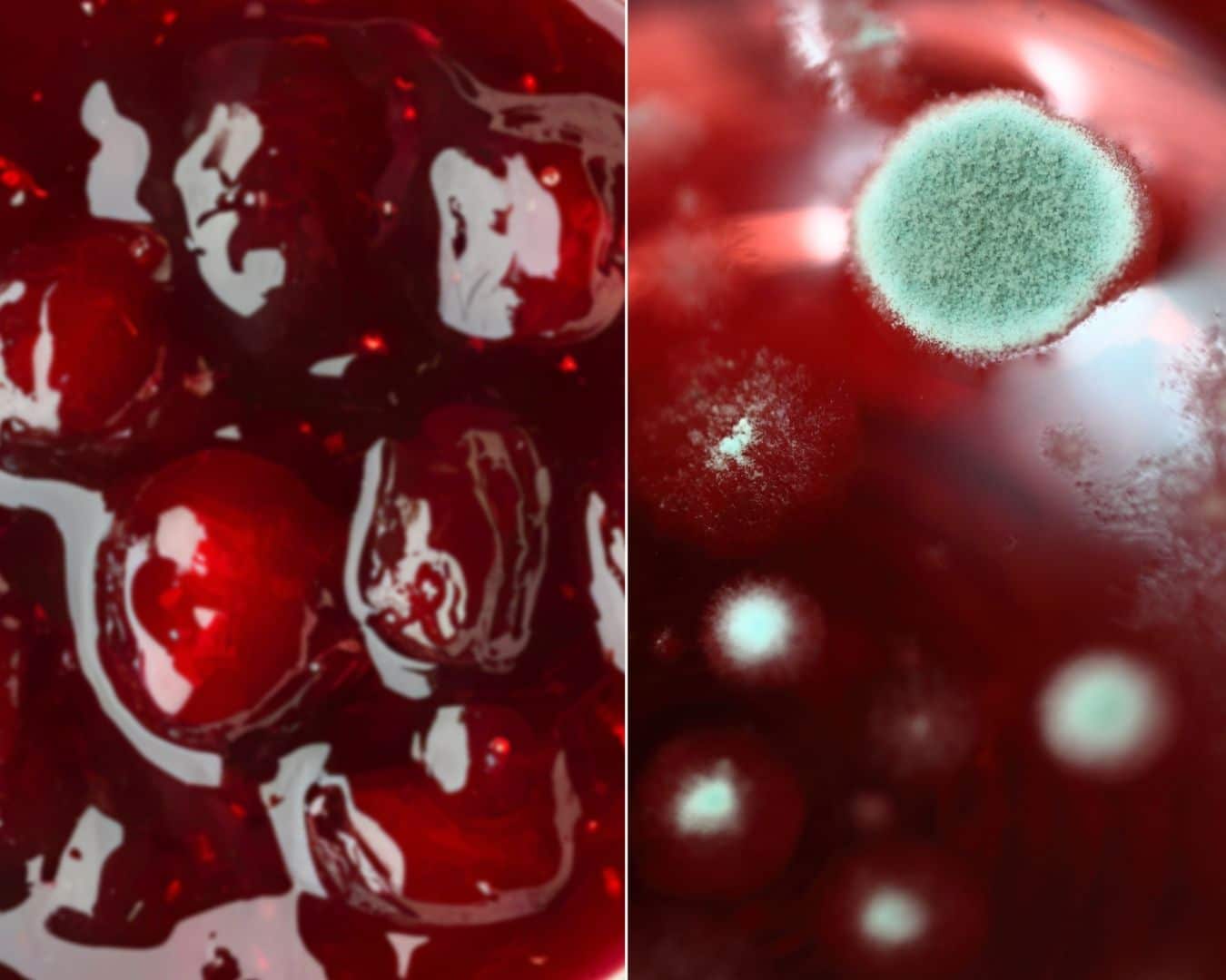 Schimmelbildung auf der Oberfläche von roter Marmelade im Glas