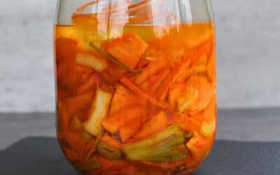 Fermentieren für Anfänger – Grundlagen, Sicherheit & erste Schritte einfach erklärt