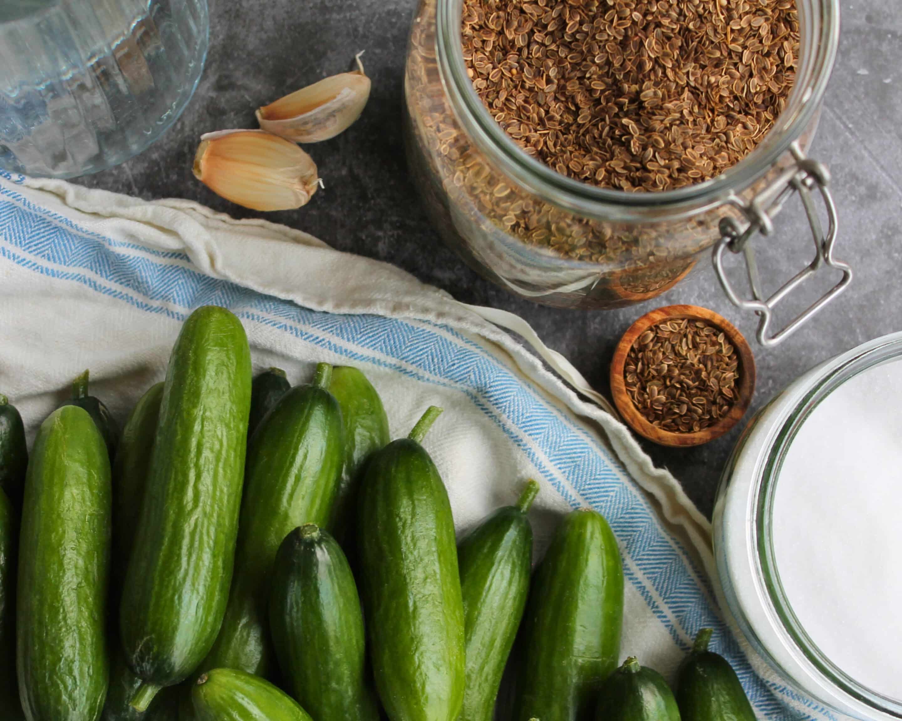 Zutaten für fermentierte Gurken mit Dill, Knoblauch, Salz und Gewürzen