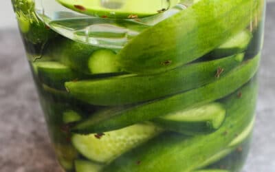 Gurken fermentieren. Salzgurken einfach selber machen (auch ohne Einlegegurken)