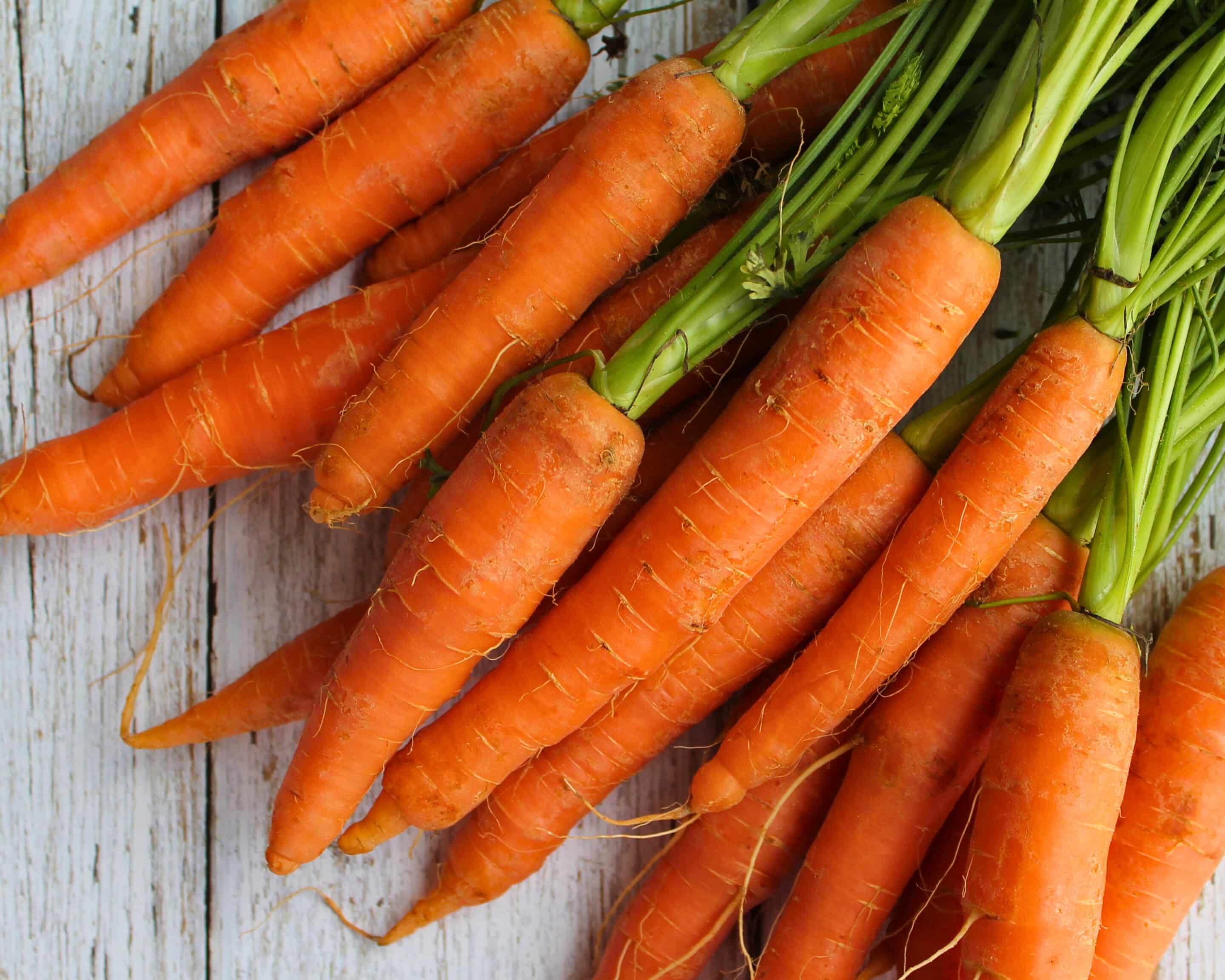 Frische Karotten mit Grün als Ausgangszutat zum Fermentieren