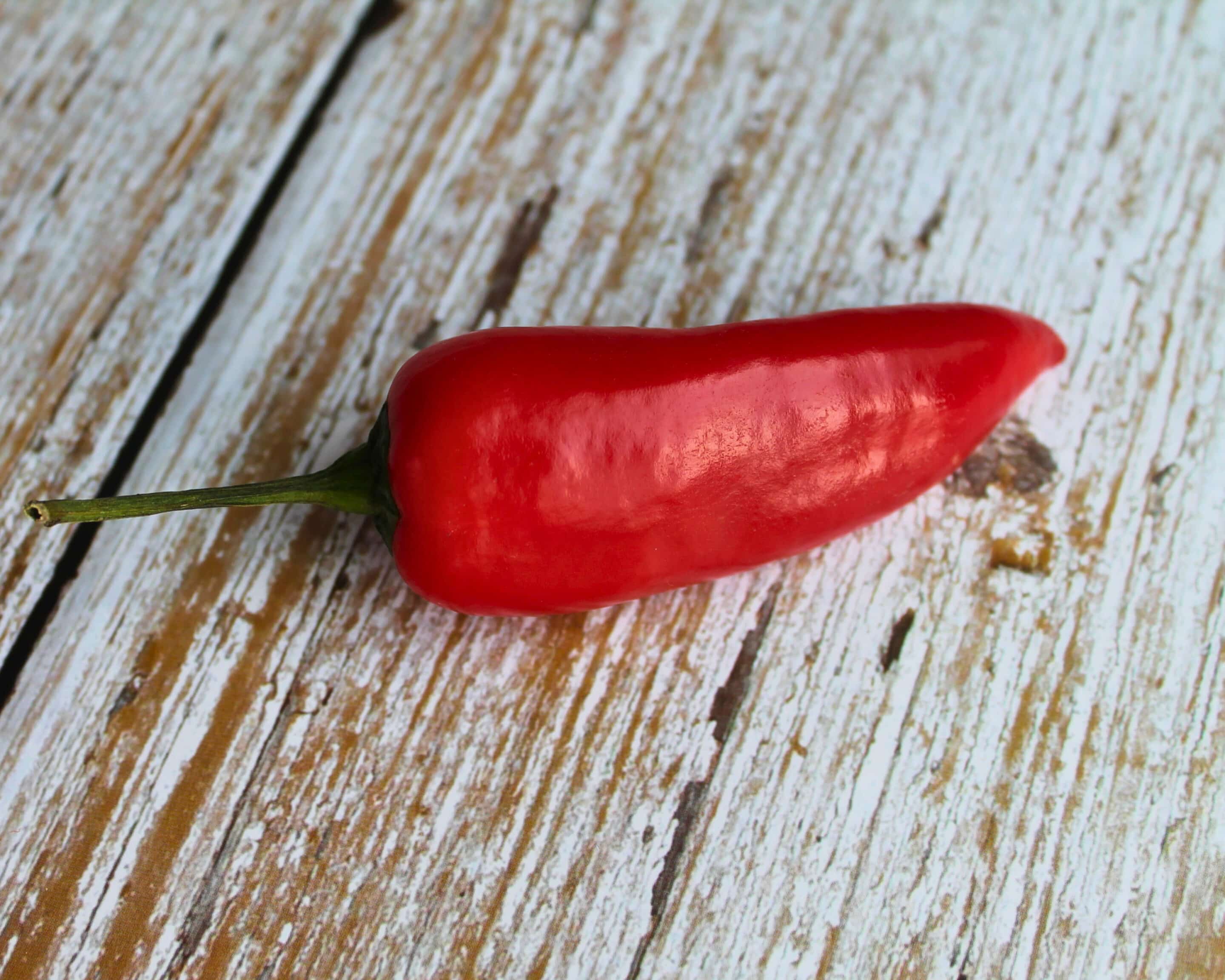 Rote Chili als Zutat für fermentierte Karotten