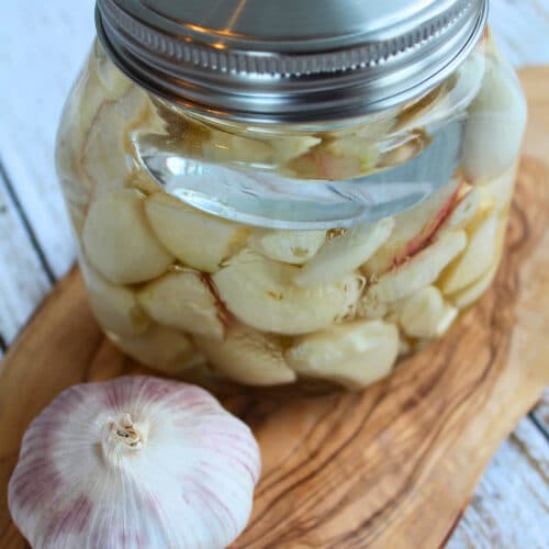 Knoblauch in Salzlake im Glas für fermentierten Knoblauch ohne Honig