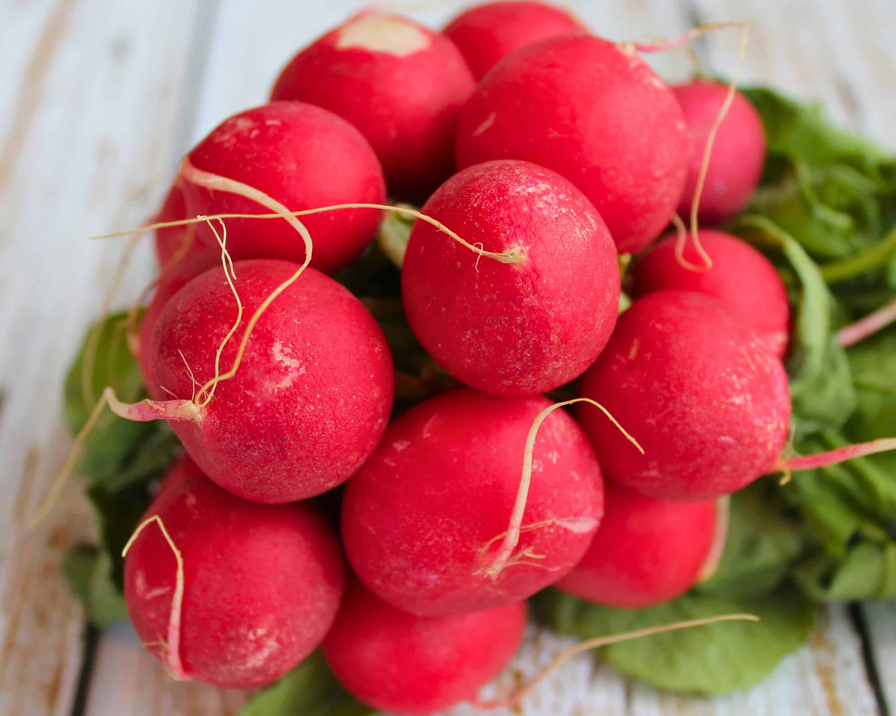 Frische Radieschen im Bund vor dem Fermentieren