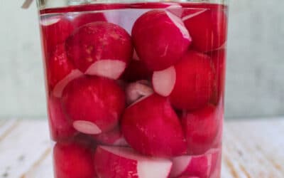 Radieschen fermentieren. Einfaches Rezept für knackige Milchsäuregärung