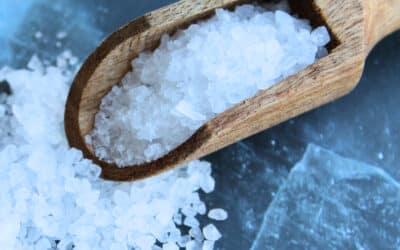 Welches Salz eignet sich zum Fermentieren? Die beste Wahl für sichere Ergebnisse
