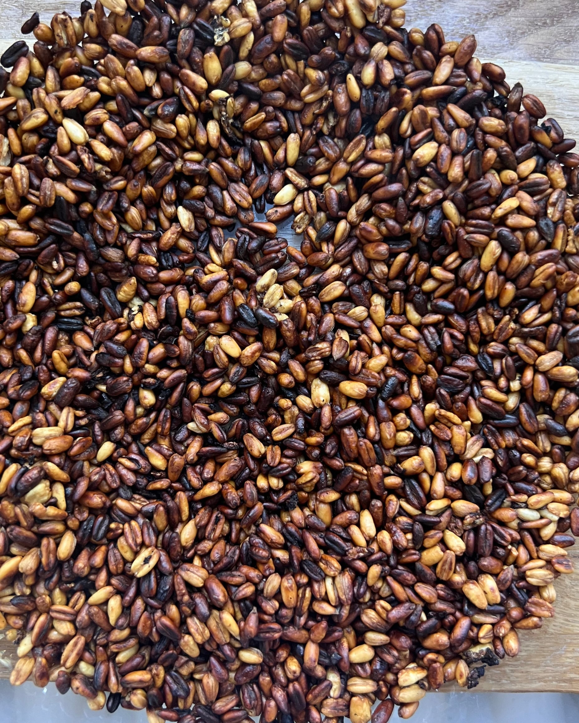 Fertig gerösteter fermentierter Hafer mit gleichmäßig goldbrauner bis dunkelbrauner Färbung.