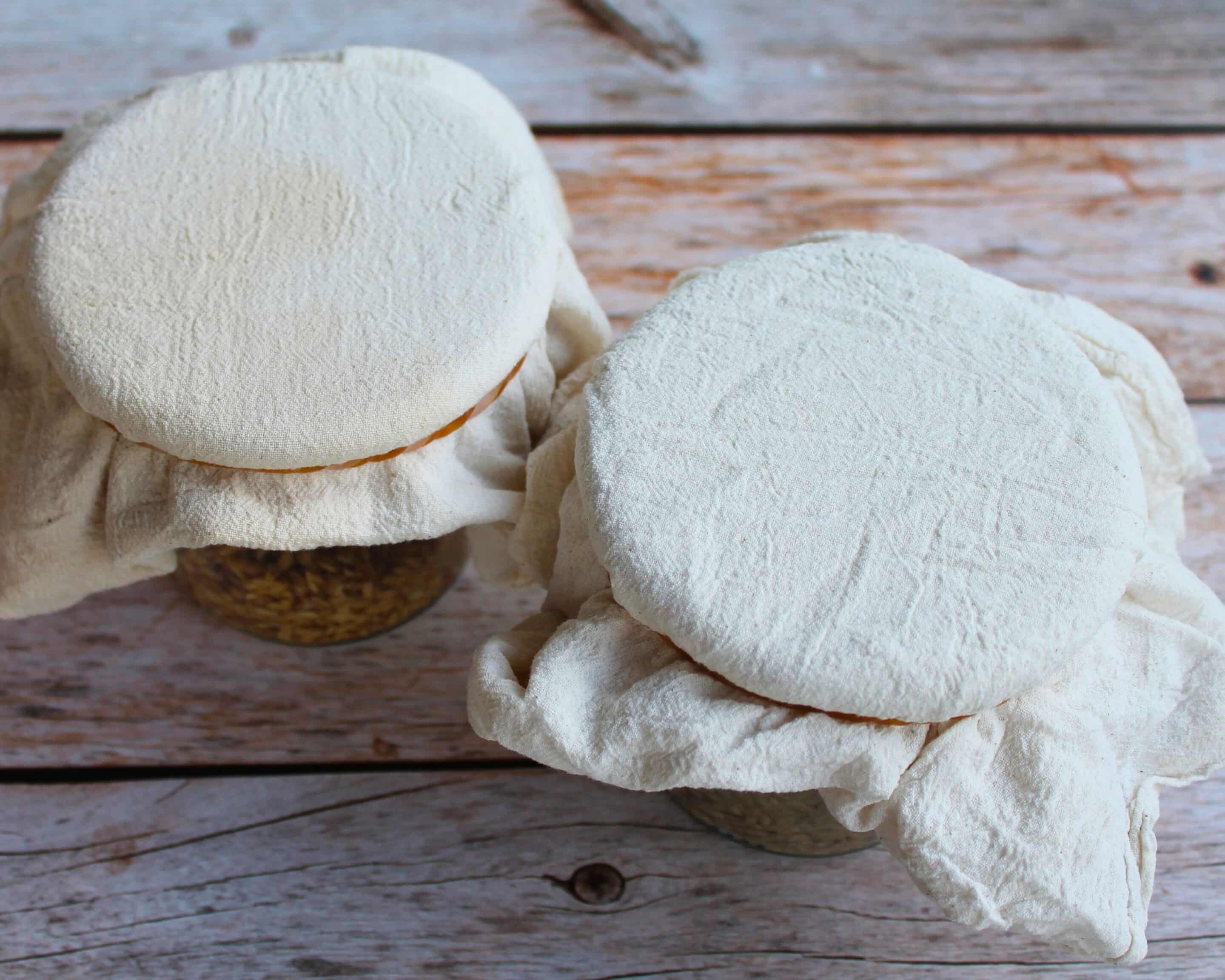 Mit Tüchern abgedeckte Gläser zur Fermentation von Sonnenblumenkernen und Hafer.