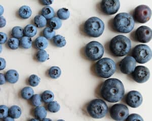 Frische Blaubeeren nach Größe sortiert auf hellem Marmor, vorbereitet zum Trocknen