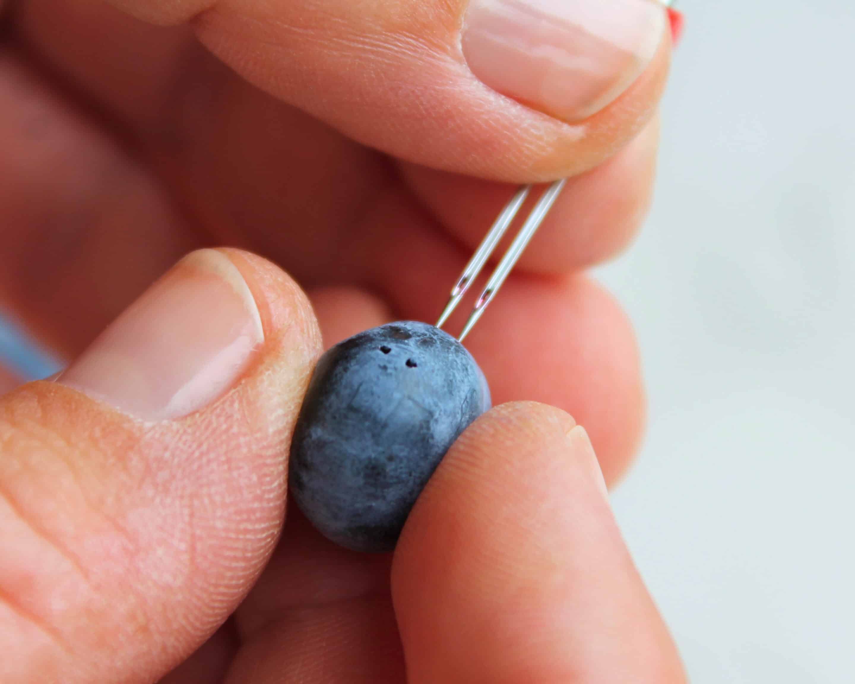 Blaubeere wird mit einer Nadel angepiekst, die kleinen Einstichlöcher sind sichtbar
