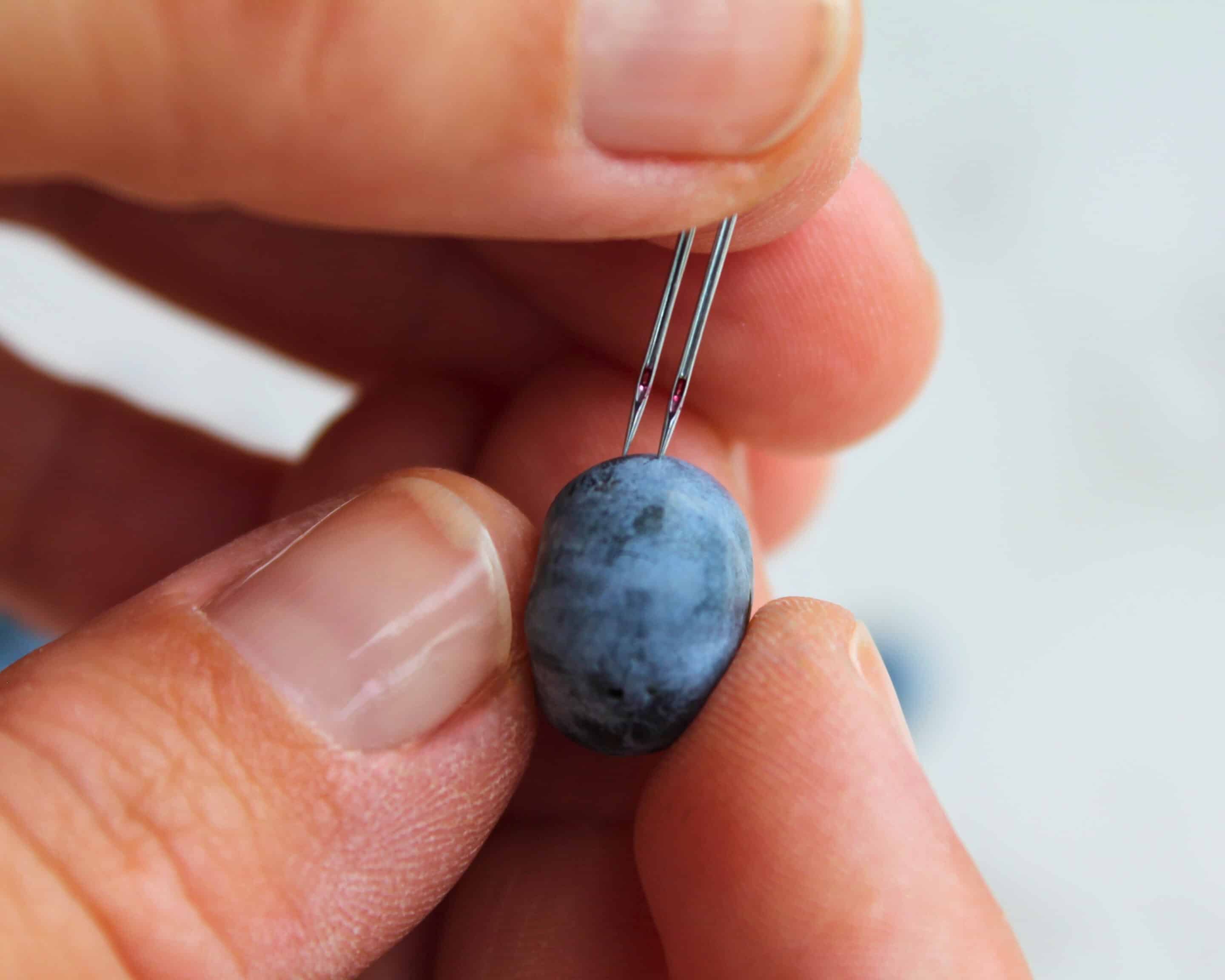 Zwei Nähmaschinennadeln nebeneinander stechen gleichzeitig in eine Blaubeere