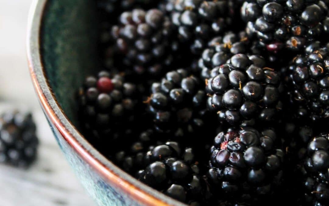 Frisch gepflückte reife Brombeeren in einer Schale