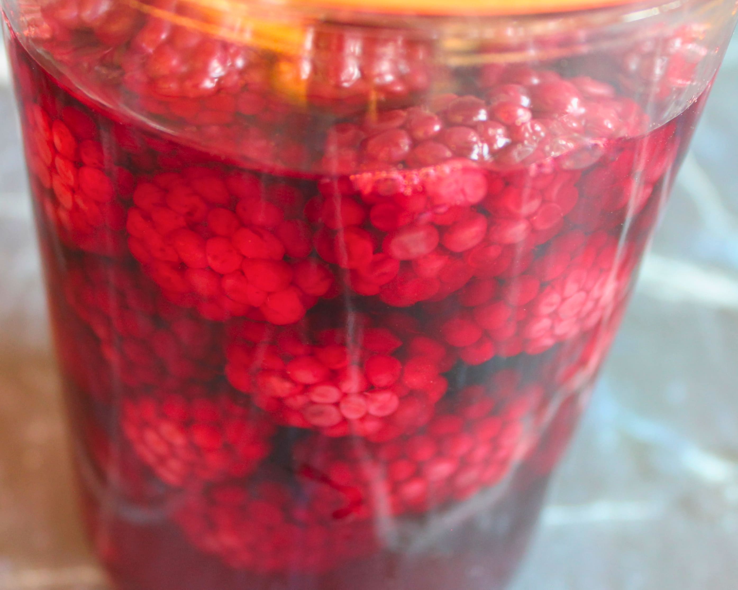 Ganze Brombeeren im Glas nach dem Einkochen in Nahaufnahme