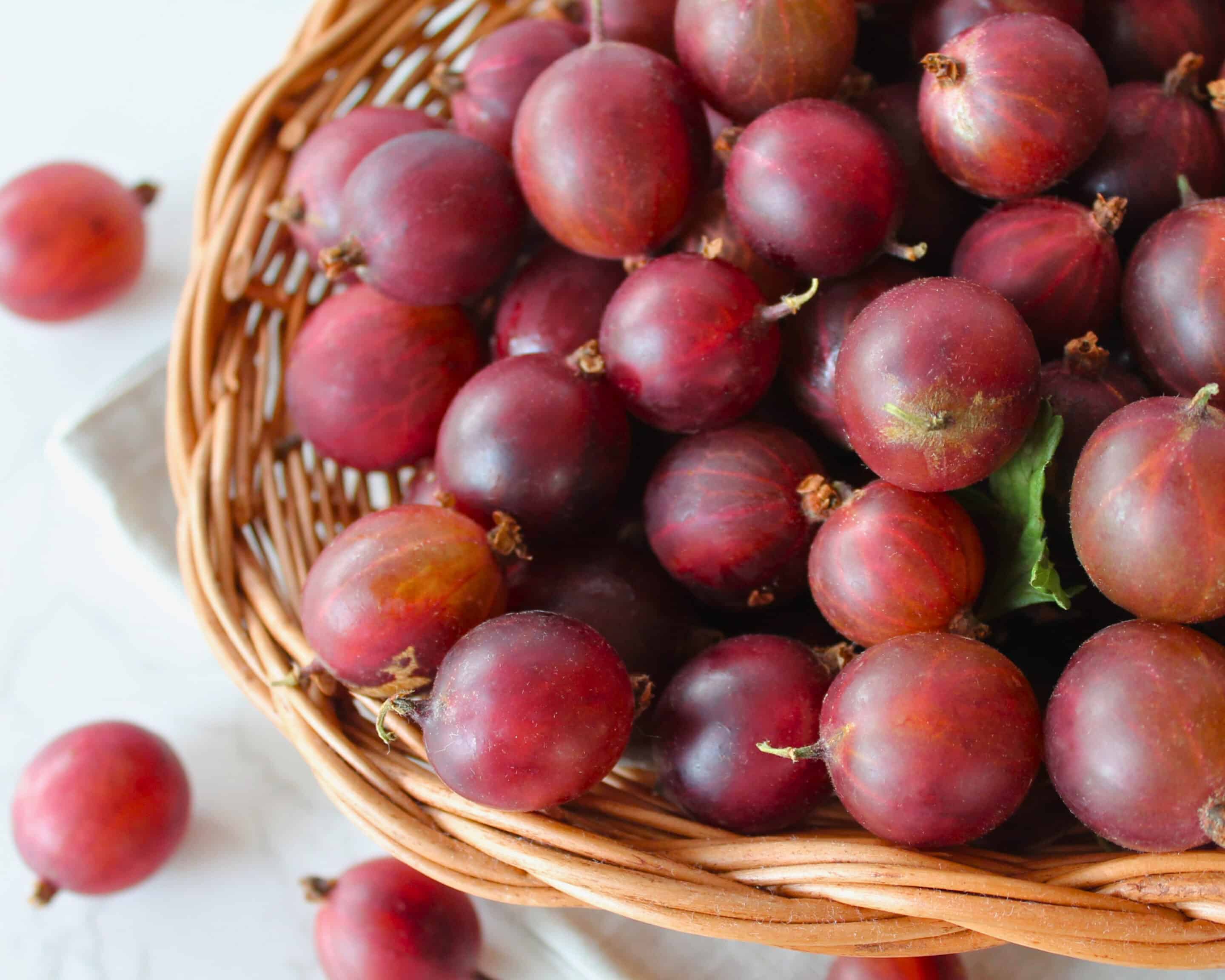 Frisch geerntete rote Stachelbeeren von oben in einem Weidenkorb, mit einem grünen Blatt und einzelnen Beeren daneben