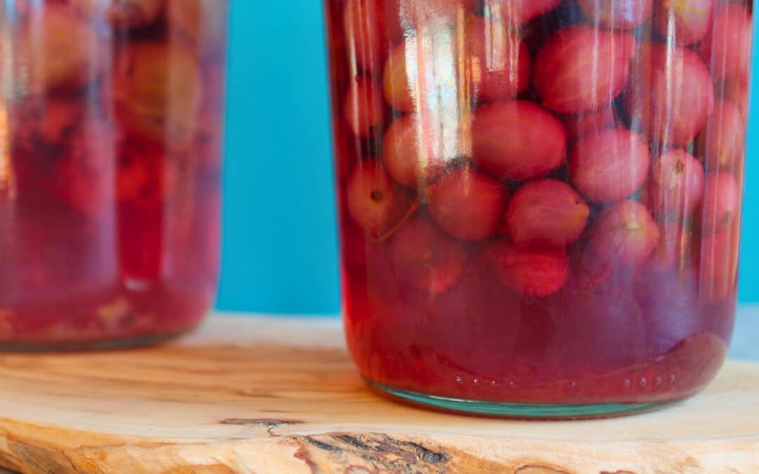 Stachelbeeren einkochen: zwei Weckgläser mit ganzen Stachelbeeren im Aufguss auf einem Olivenholzbrett vor türkisem Hintergrund