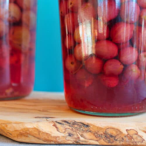 Stachelbeeren einkochen: zwei Weckgläser mit ganzen Stachelbeeren im Aufguss auf einem Olivenholzbrett vor türkisem Hintergrund