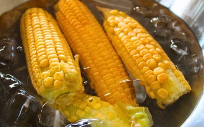 Mais einfrieren – So bleibt der Sommergeschmack erhalten